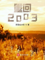 重廻2003小說封面