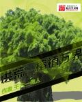洪荒之榕植萬界小說封面