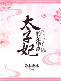 太子妃的榮華路小说封面